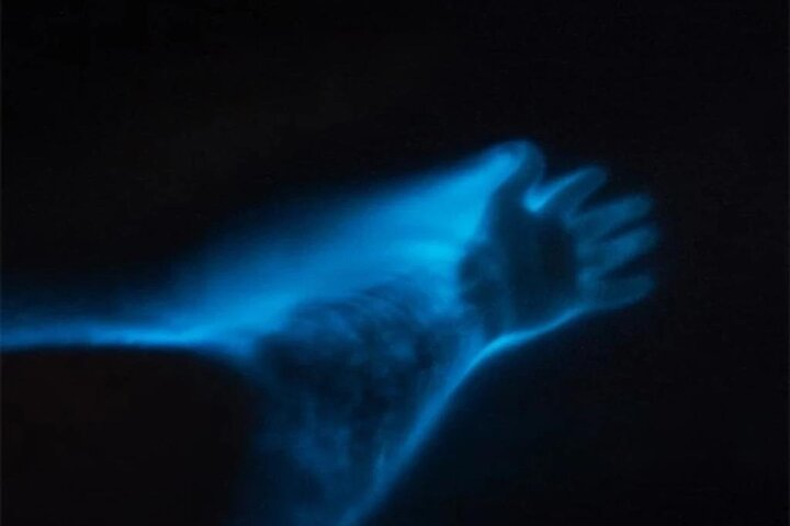 Bioluminescent Lagoon Boat Ride and Swim from Puerto Escondido - Photo 1 of 4