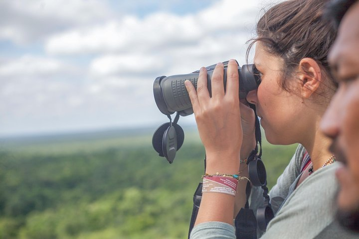 Birdwatching at The Mayan Cities with certified guide - Photo 1 of 10