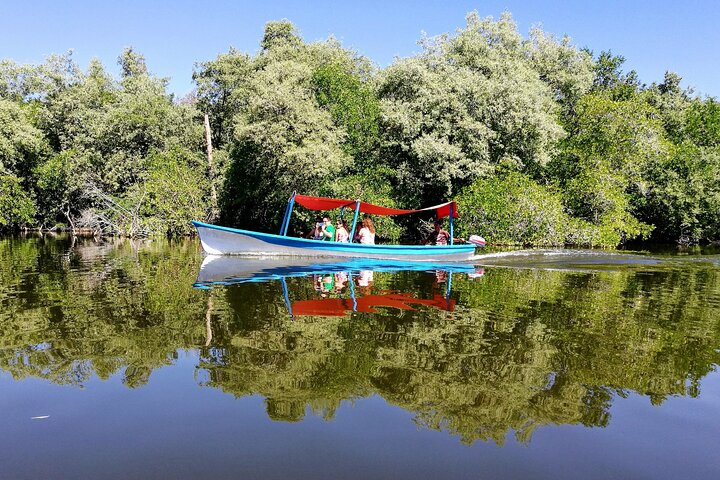 Boat Ride-Gentle Beach Beach Horseback Ride - Crocs - Turtles - Photo 1 of 11