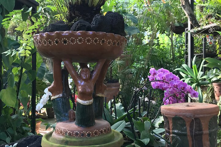 From the Orchid Garden