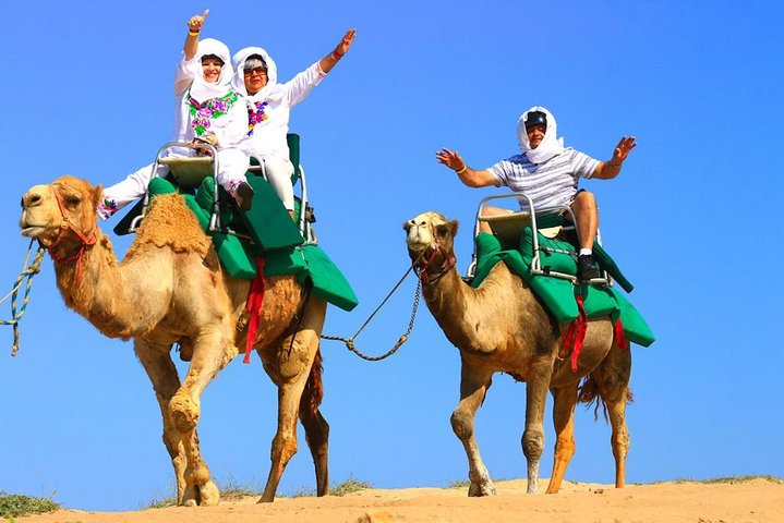 Camel ride