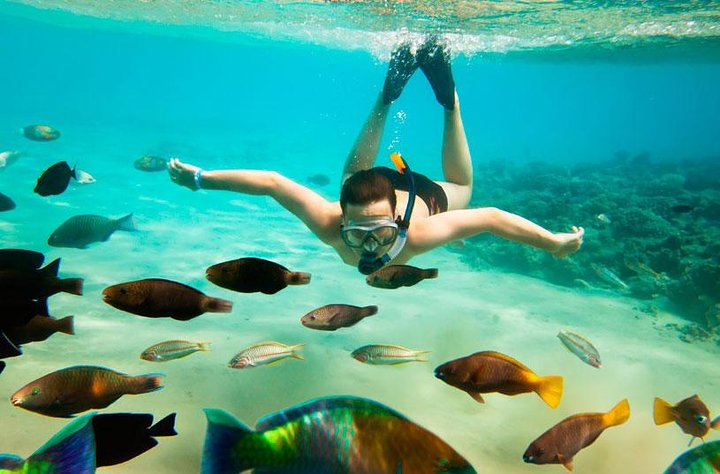 Snorkel in the Sea of Cortes