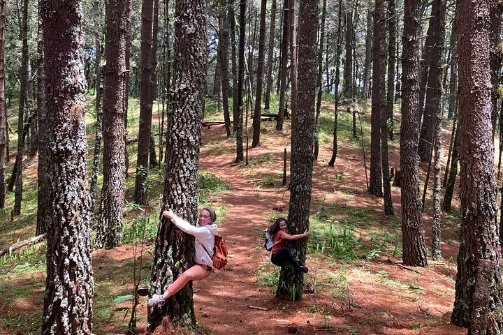 Cacao day experience from the wood to your cup! - Photo 1 of 25