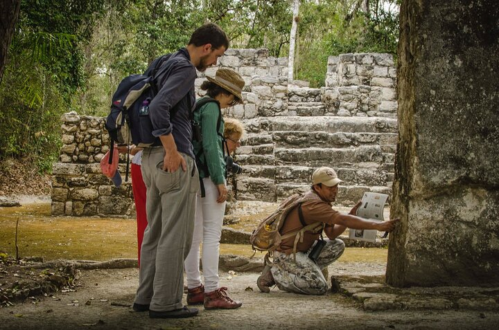 Calakmul Ancient Maya City Tour - From Campeche - Photo 1 of 8