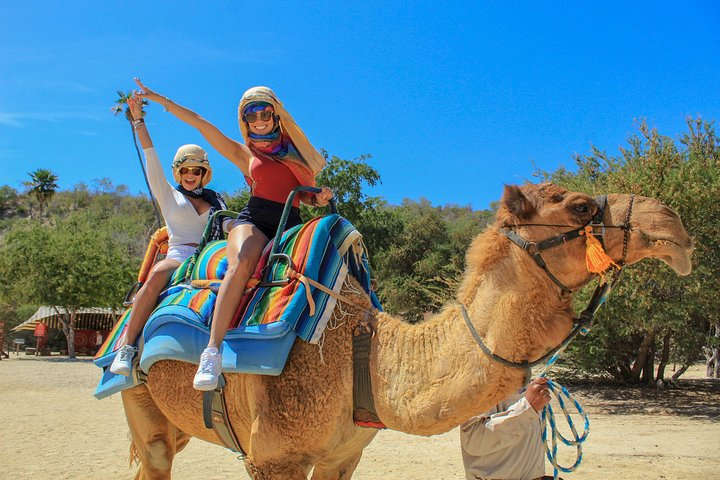 Camel Ride in the Canyon + Thrilling Water-Slides & Snacks - Photo 1 of 9