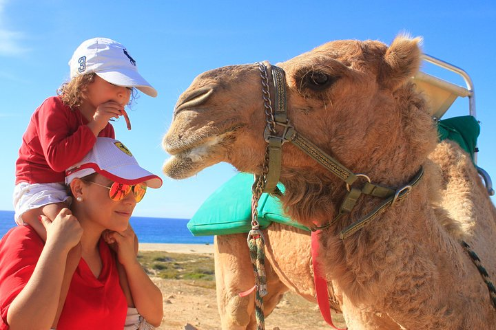 Camel Ride
