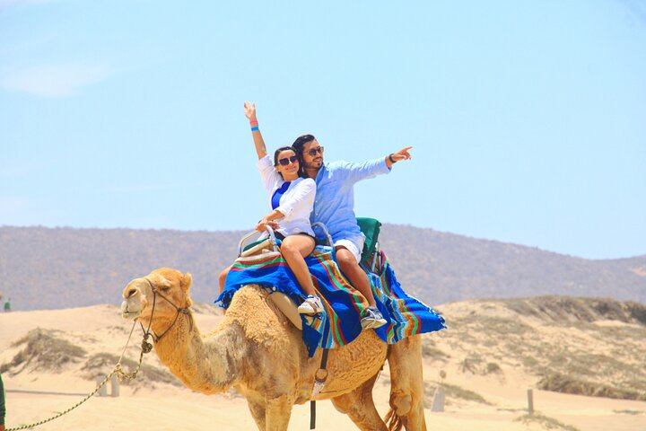 Camel riding experience on the shores of the Pacific Ocean - Photo 1 of 10