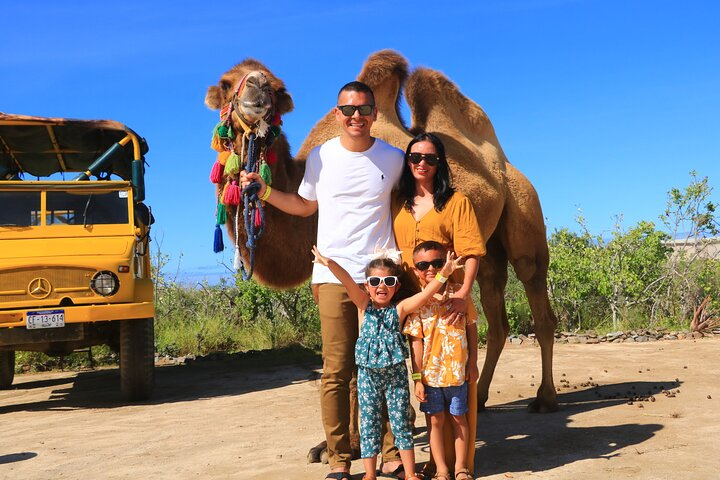 Camel riding experience on the shores of the Pacific Ocean - Photo 1 of 9