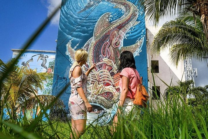 Cancun Private Street Art Tour - Photo 1 of 14