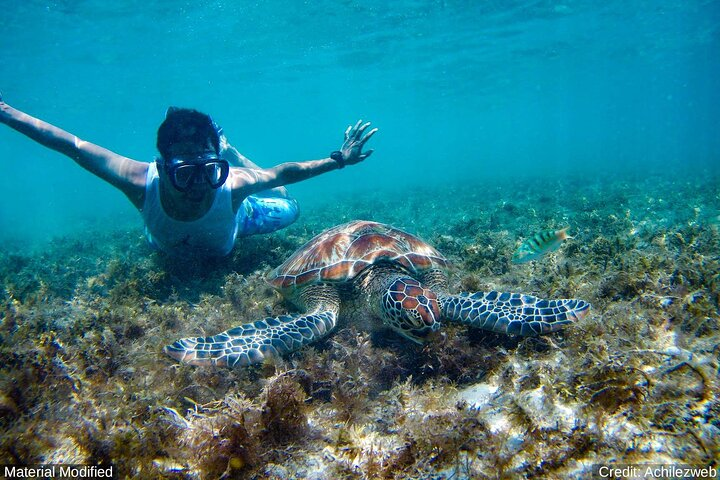 Cancun & Yucatan: See & Experience ALL in 9 Days, 1st Class Tours - Photo 1 of 17