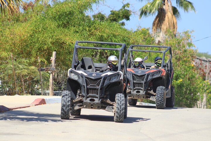Cabo Adventure: Can-Am X3 Ride & Camel Beach Tour - Photo 1 of 12