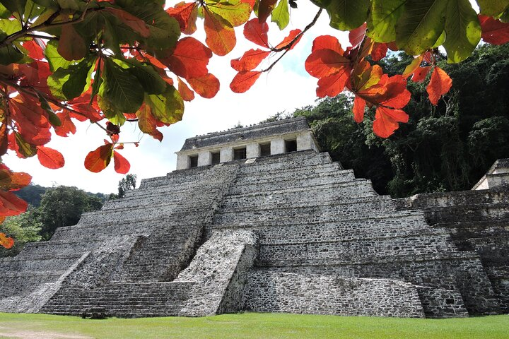 Palenque Maya ruins & swim in Roberto Barrios fresh waters - Photo 1 of 19