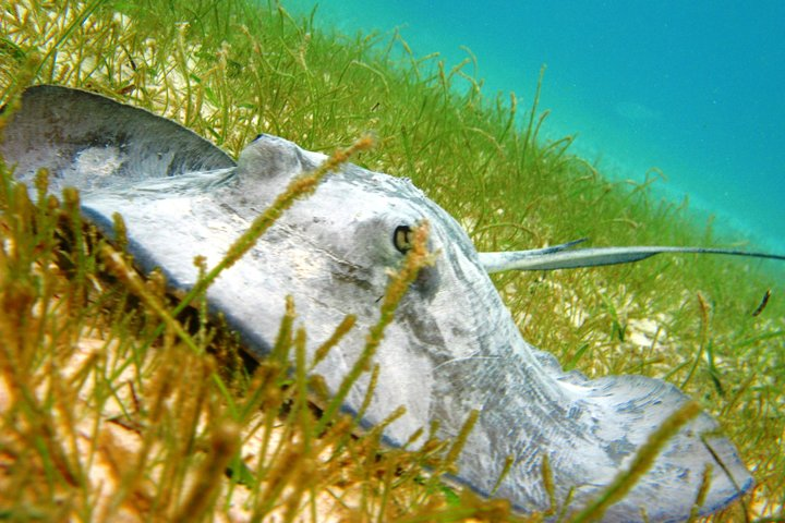 Cenote and Akumal Snorkel - Photo 1 of 6