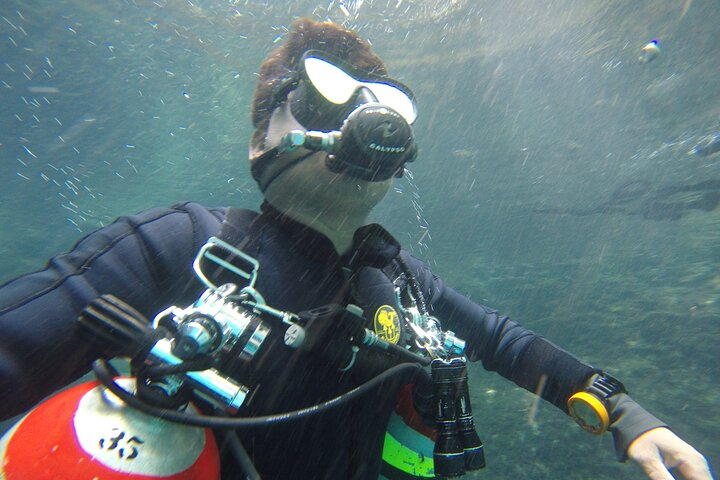 Cenotes Discovery Cave Diving - Photo 1 of 7