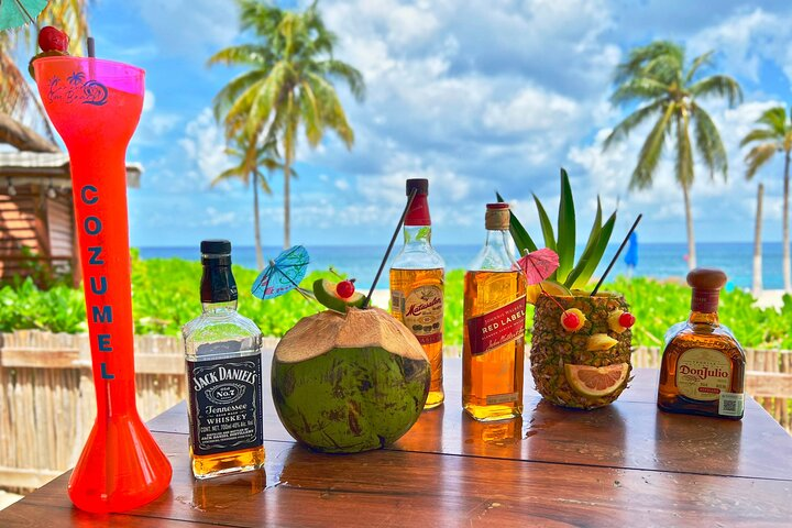 Chankanaab Cozumel Day pass With Open Bar and lunch