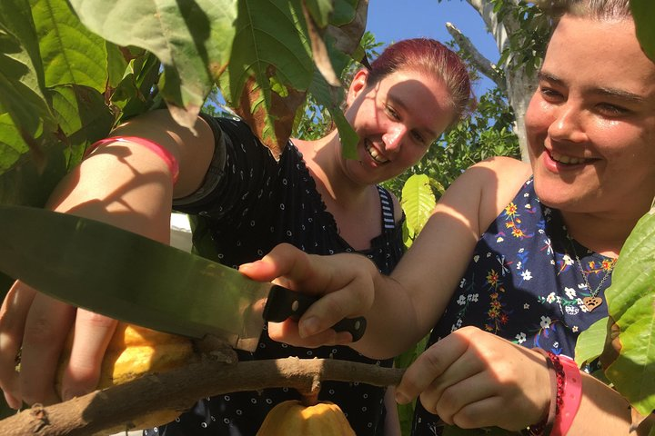 Chocolate Tour in Vallarta - Photo 1 of 23