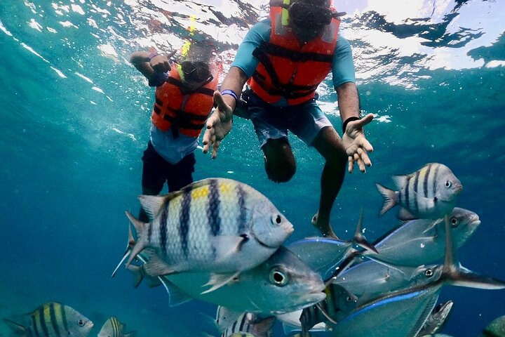 Cozumel El Cielo Reef Snorkel with Round Transportation - Photo 1 of 12