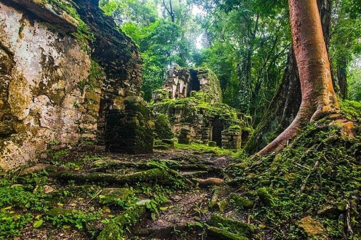 Bonampak & Yaxchilan: Hidden Maya Ruins in the Chiapas Jungle - Photo 1 of 15