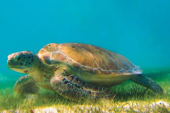 Coba and Akumal - Photo 1 of 4