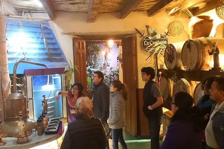 Cocoa Posh Chocolate Cata - Photo 1 of 7