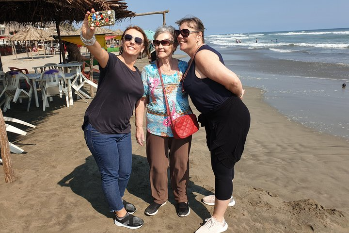 Combo 6 Hr Tour All City Highlights Divers Baby Turtle Release - Photo 1 of 13