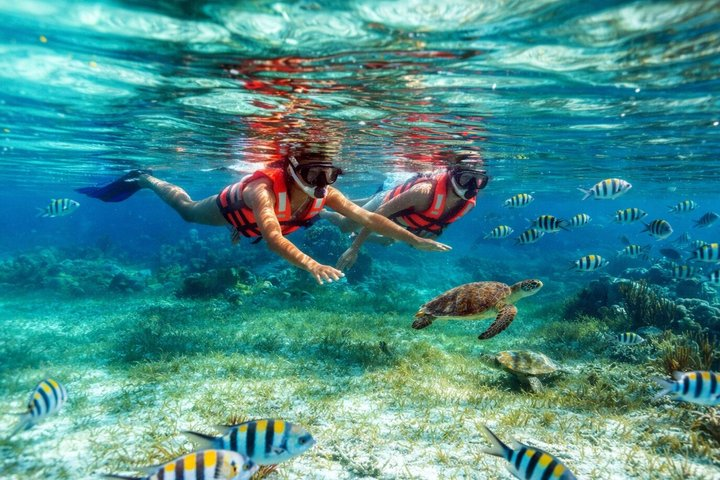 Reef Snorkeling in National Park from Cancun with Beachside Lunch - Photo 1 of 15