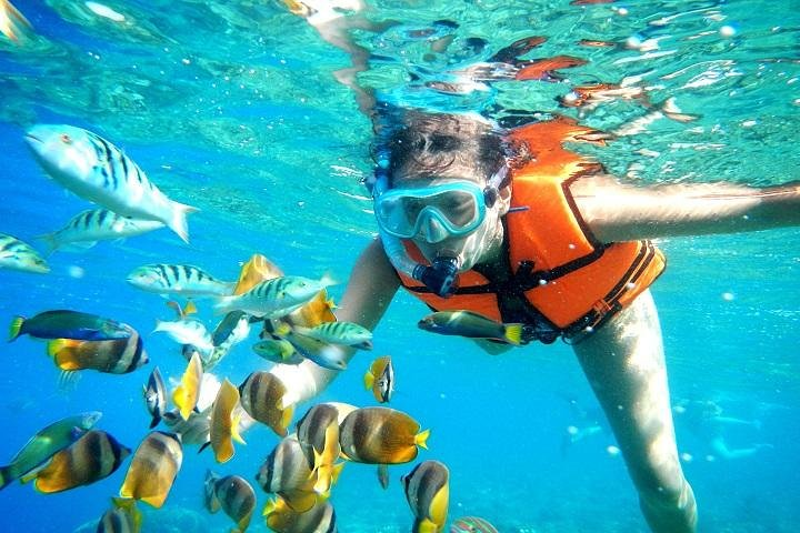 Extreme Snorkel Platinum Service
