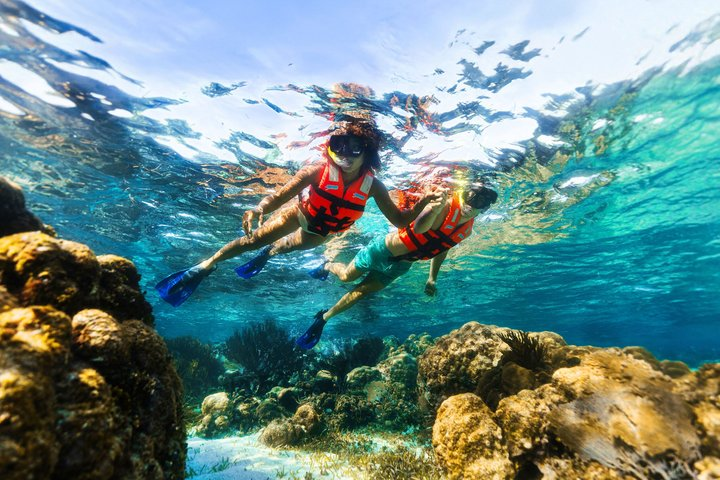 Reef Snorkeling in National Park with Beach Club & Lunch - Photo 1 of 17
