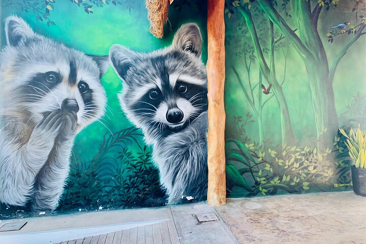 Costa Esmeralda 5 en 1 - Photo 1 of 6