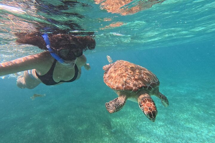 Costa Maya, snorkeling on the reef with fish, looking for turtles - Photo 1 of 21