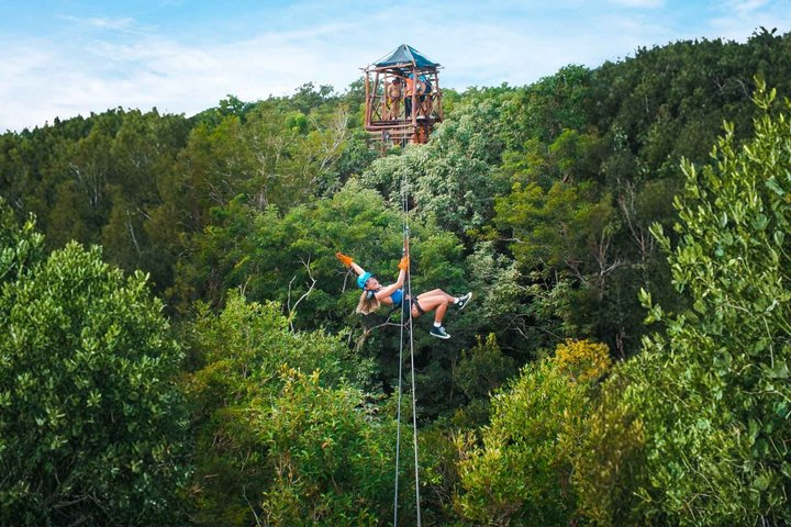 Zipline in Cozumel: 6-Line Canopy Tour - Mins away from Cruises - Photo 1 of 16
