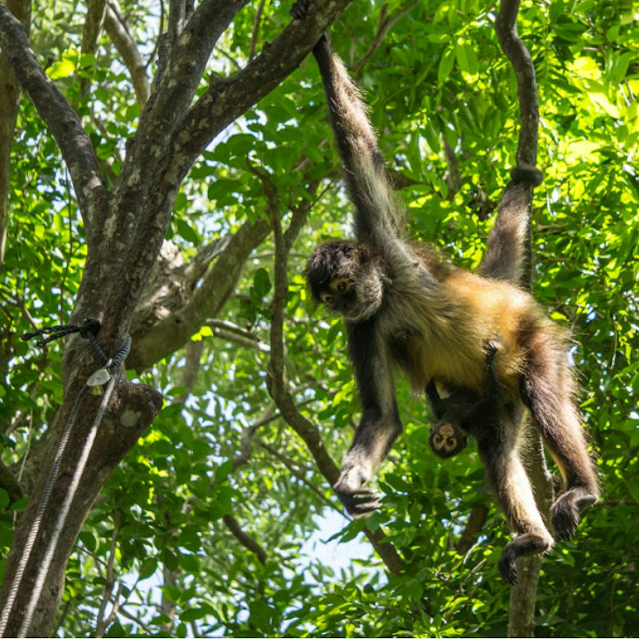 Croco Cun Zoo Fast Track Tickets - Photo 1 of 7