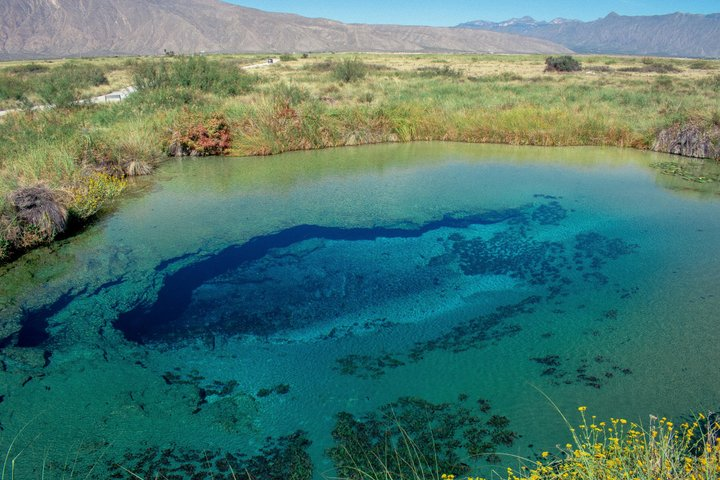 Cuatro Cienegas magic town from Monterrey - Photo 1 of 9