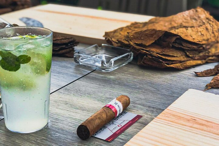 Taste of Mexico: Rolling Cigar & Tequila Experience with transfer - Photo 1 of 12