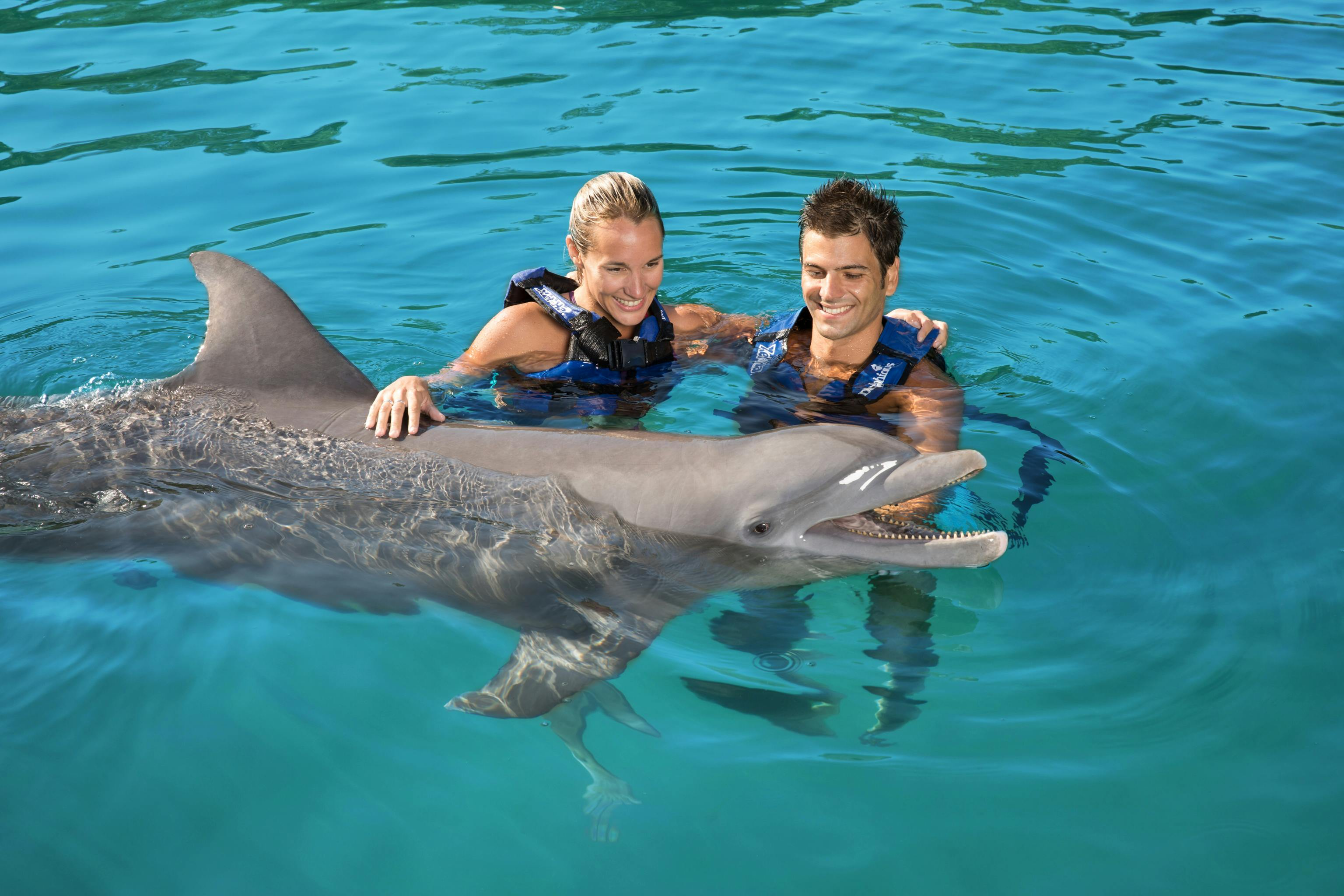 Delphinus Xel-Há: Fast Track Ticket + Hotel Pickup + Swim with Dolphins - Photo 1 of 7