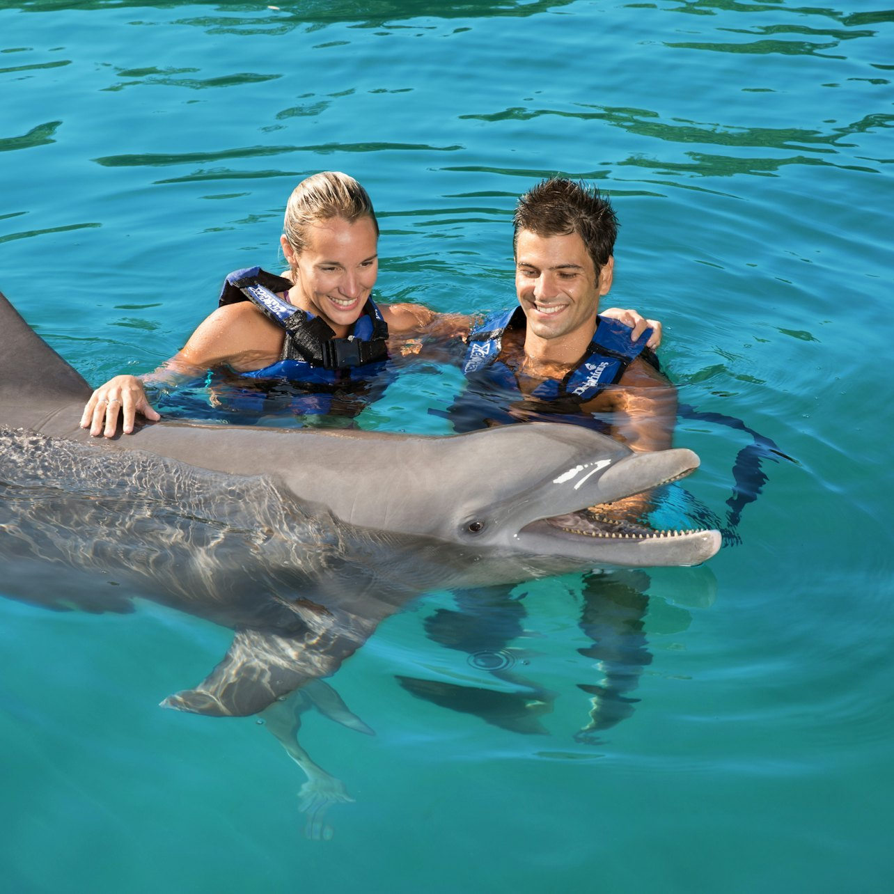 Delphinus Xel-Há: Fast Track Ticket + Hotel Pickup + Swim with Dolphins - Photo 1 of 7