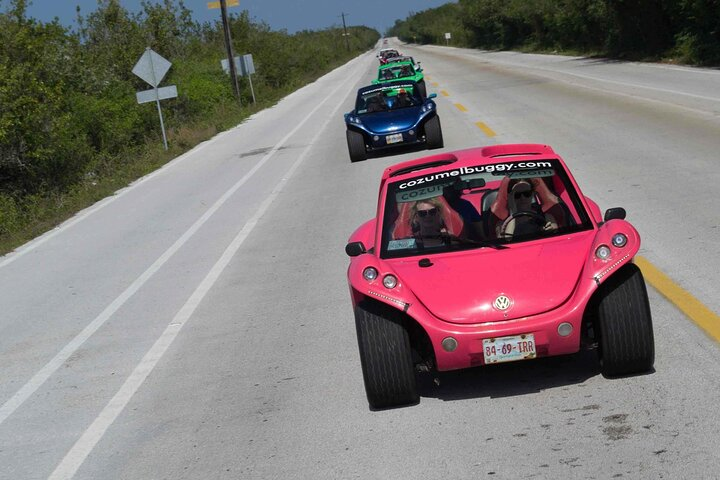 Discover Cozumel Island over Buggy Only from Riviera Maya - Photo 1 of 21