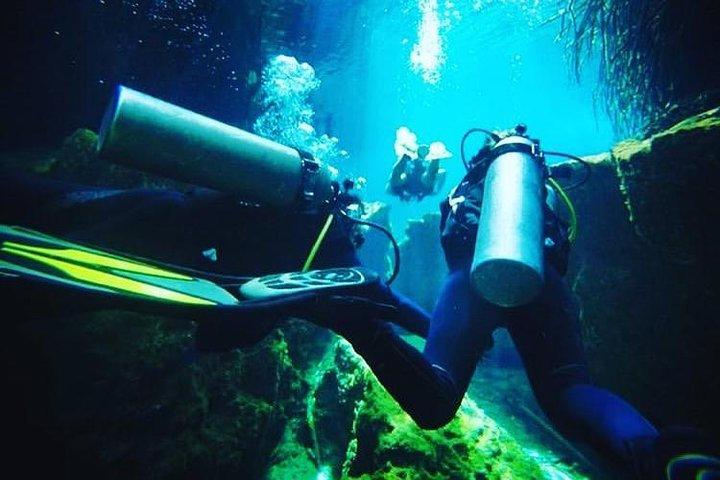 Discover Scuba Diving at Casa Cenote - Photo 1 of 6