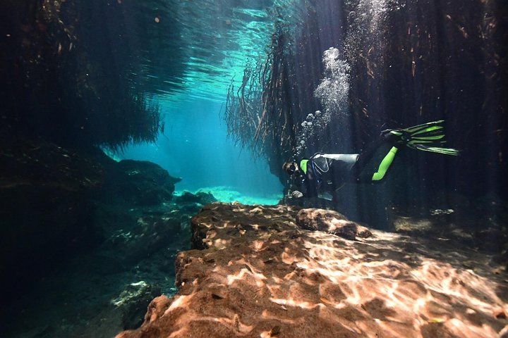 Cada cenote discover diving