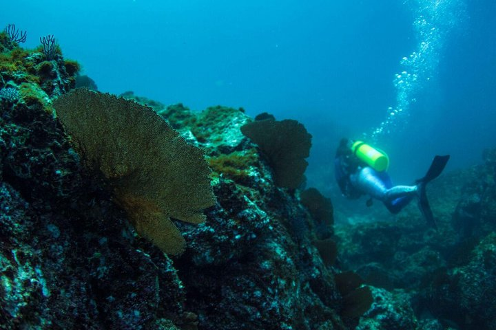 Discover Scuba Diving - Photo 1 of 6