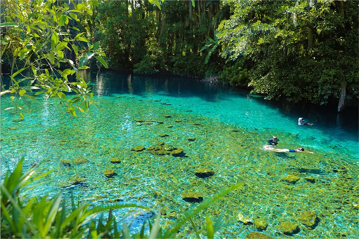 Discover Tepoztlan & Las Estacas 2D/1N - Photo 1 of 6