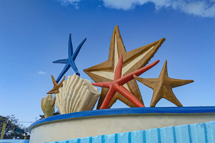 Private Tour at Puerto Morelos & Cenote from Cancun with Tequila - Photo 1 of 23