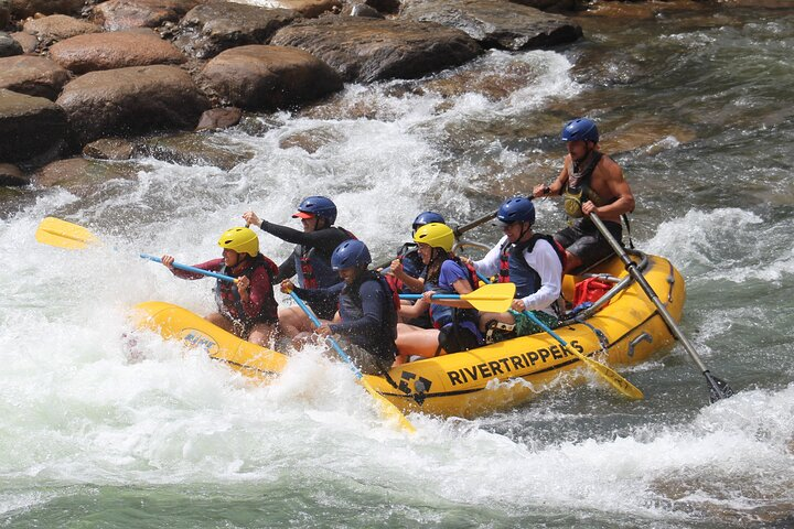 Durango ~ 4.5 hr "Half-Day" Family Rafting Lower Animas River - Photo 1 of 4