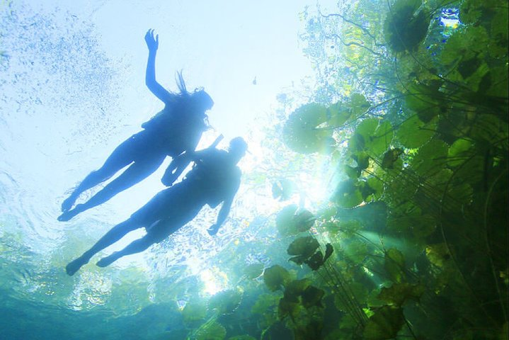 Two different eco parks in Riviera Maya