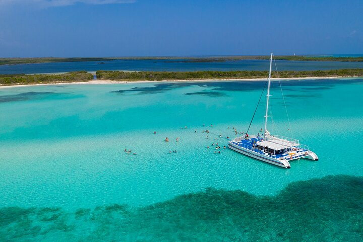 El Cielo, Palancar Snorkel & Beach Party Experience - Photo 1 of 6