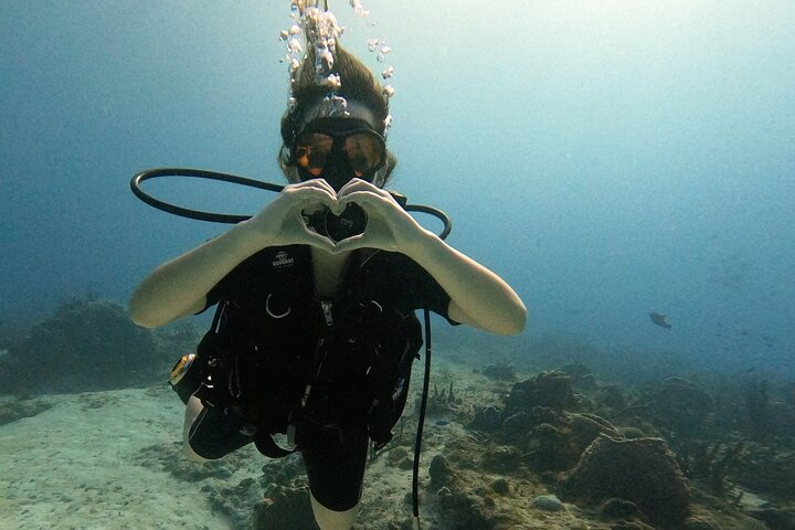 Enjoy two dives without previous experience with a boat trip - Photo 1 of 8