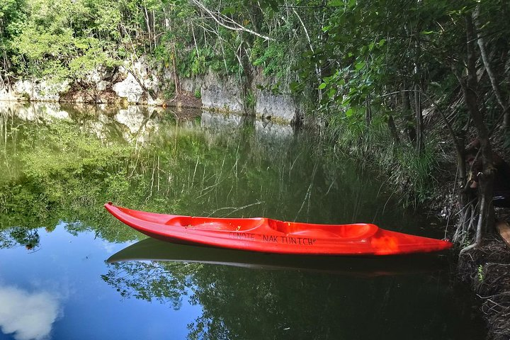 Expeditions of Cenotes in Puerto Morelos - Photo 1 of 14