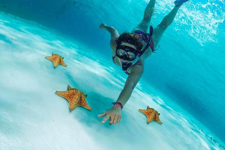 El Cielo is full of starfish