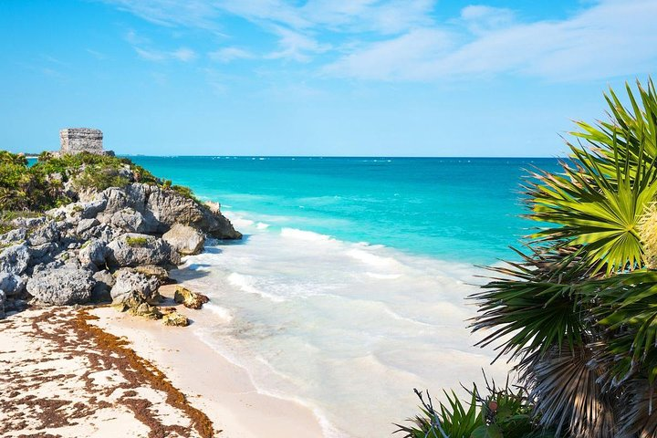Explore the treasures of the Riviera Maya. Tulum, Coba, a Sacred Cenote and Playa del Carmen
