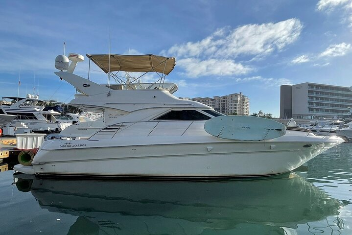 Private Yacht Cruise 3 Hours ALL INCLUSIVE price is DEPOSIT only - Photo 1 of 13